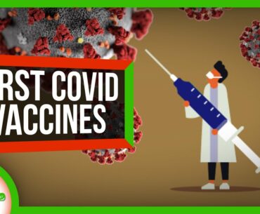 What's the Deal with Pfizer's COVID-19 Vaccine? | SciShow News