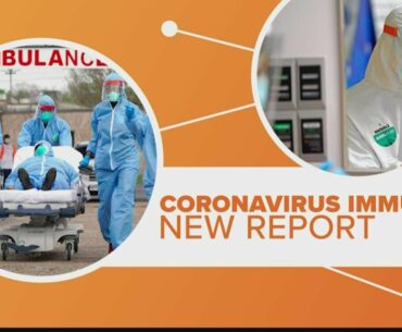 Coronavirus immunity could last years, study reveals