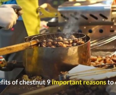 Incredible Health Benefits Of Chestnut 9 Important Reasons To Eat It And Its High Nutritional value