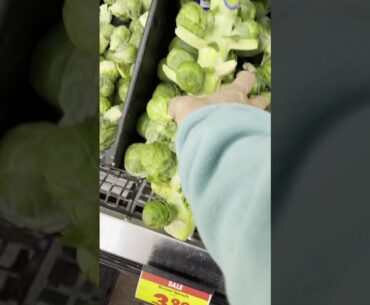 Brussels Sprouts in Stalk very healthy great for your health rich in potassium fiber vitamin A C