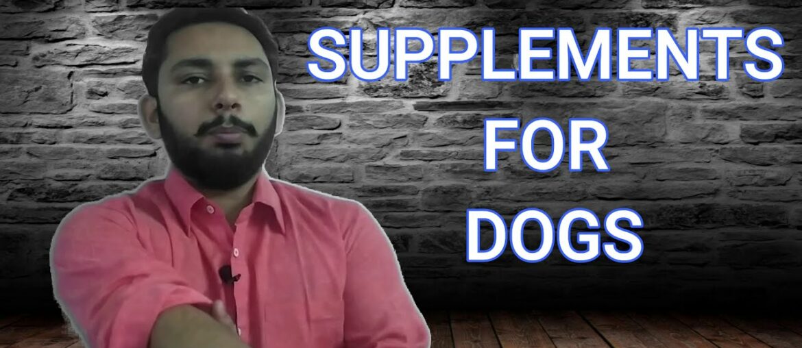 SUPPLEMENTS FOR DOGS || ALL SUPPLIMENTS REQUIRED FOR DOGS || HOMEMADE ALTERNATIVES OF CALCIUM