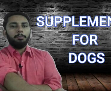 SUPPLEMENTS FOR DOGS || ALL SUPPLIMENTS REQUIRED FOR DOGS || HOMEMADE ALTERNATIVES OF CALCIUM