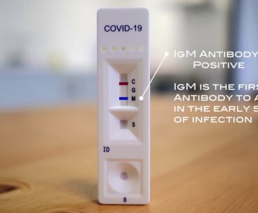 Fortress Fast Covid 19 Home Test Example