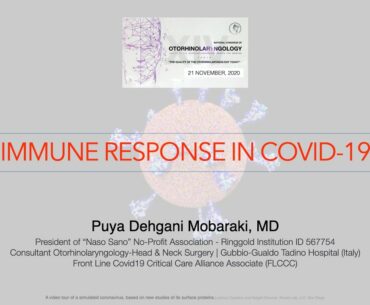 Immune Response in Covid-19