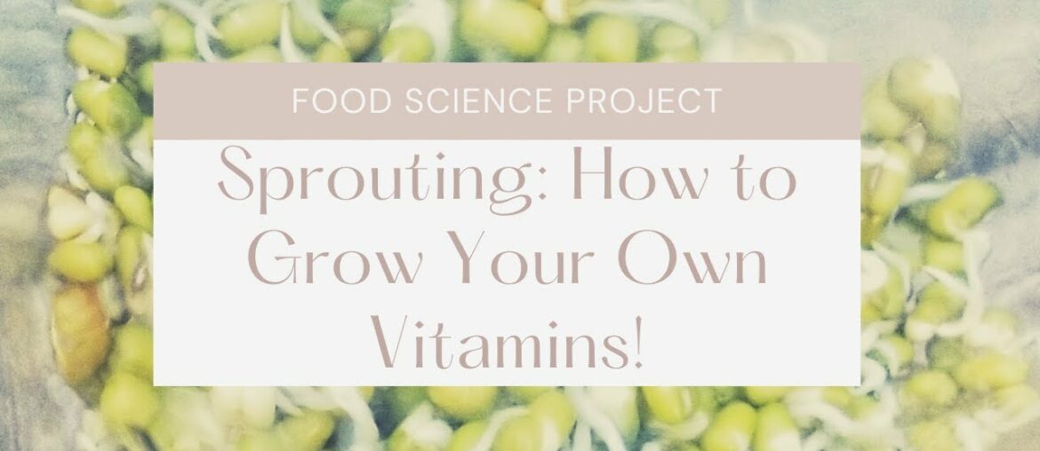 How to Grow Your Own Vitamins on the Kitchen Counter in 3 Days! Easy Sprouting Tutorial