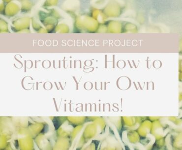 How to Grow Your Own Vitamins on the Kitchen Counter in 3 Days! Easy Sprouting Tutorial