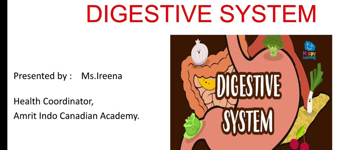 Amrit indo Canadian academy, Health and wellness, class 6to12, Digestive system, video 7