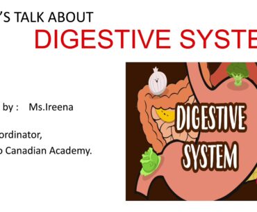 Amrit indo Canadian academy, Health and wellness, class 6to12, Digestive system, video 7