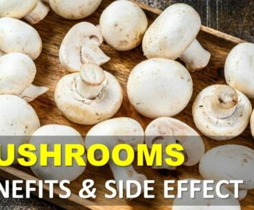 Mushrooms Health Benefits and Side Effects, Mushrooms Contain Protein, Vitamins