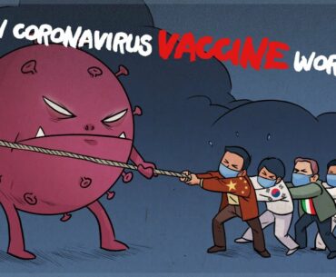 how coronavirus vaccine works ? (With captions)