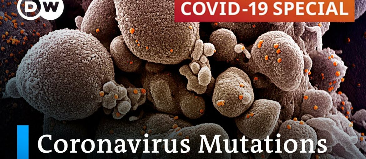 How dangerous can mutated coronavirus strains be? | COVID-19 Special