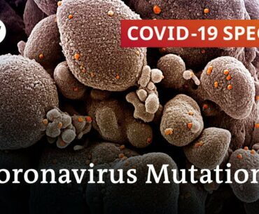 How dangerous can mutated coronavirus strains be? | COVID-19 Special