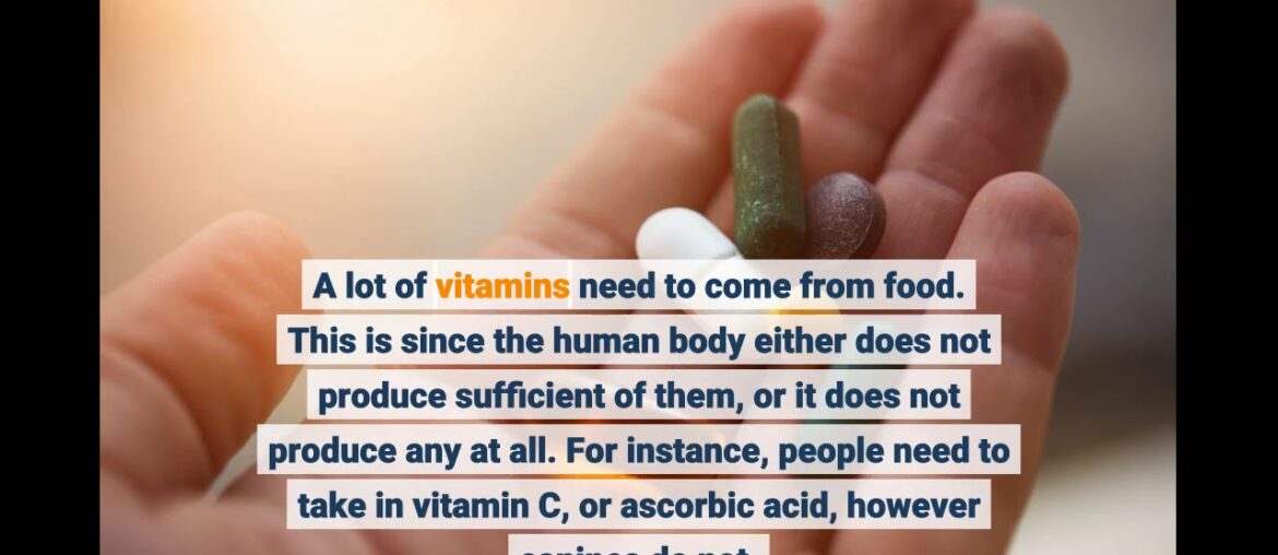 4 Easy Facts About Vitamins & Supplements - Nutrition - Shop - Amway Canada Shown