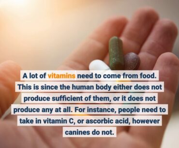 4 Easy Facts About Vitamins & Supplements - Nutrition - Shop - Amway Canada Shown