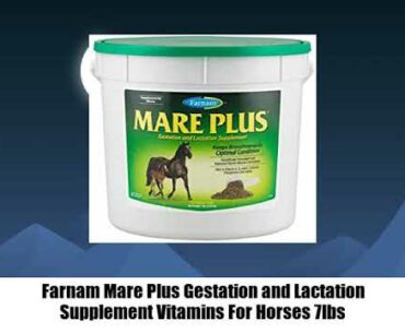 5313- Farnam Mare Plus Gestation and Lactation Supplement Vitamins For Horses 7lbs review