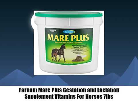 5313- Farnam Mare Plus Gestation and Lactation Supplement Vitamins For Horses 7lbs review