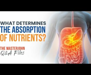 What determines the absorption of nutrients?