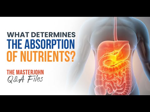 What determines the absorption of nutrients?