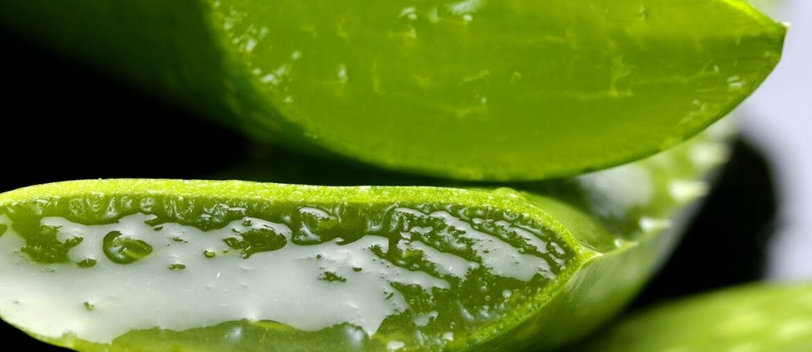 How Does Aloe Vera Affect The Body?