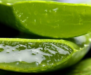 How Does Aloe Vera Affect The Body?