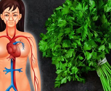 15 Powerful Health Benefits Of Parsley You Never Knew About
