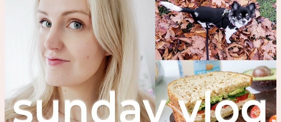 PRODUCTIVE VLOG: covid-19 in Sweden, new apartment update, healthy grocery haul, the vitamins I take