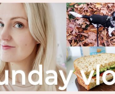 PRODUCTIVE VLOG: covid-19 in Sweden, new apartment update, healthy grocery haul, the vitamins I take
