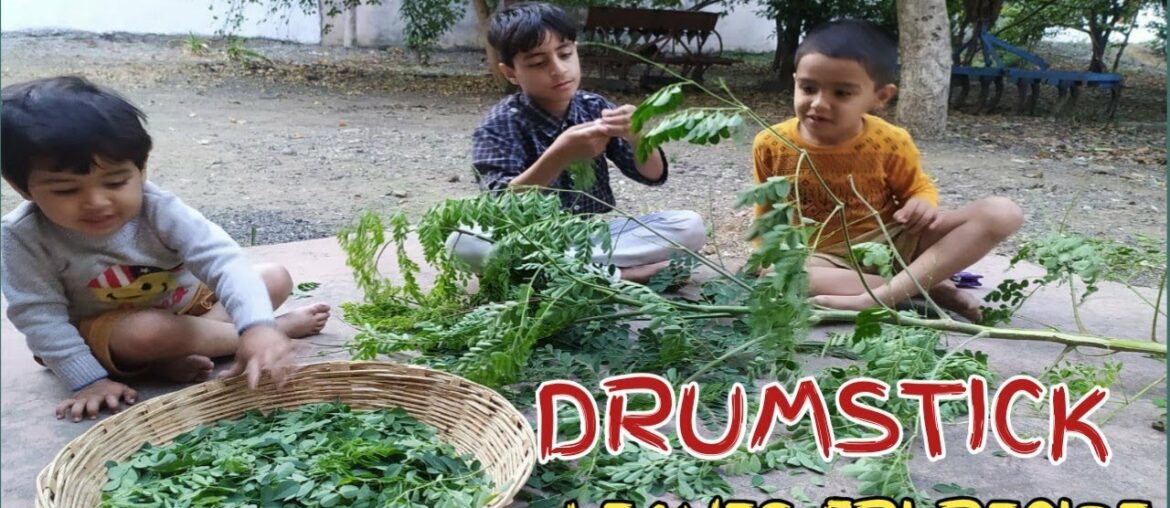 Drumsticks leaves Recipe || malnutrition || vitamin A,C,B1, & more