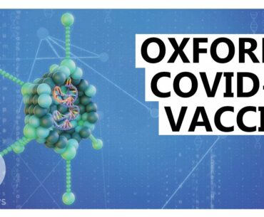 How the AstraZeneca-Oxford COVID-19 Vaccine Works (Animated Explainer)
