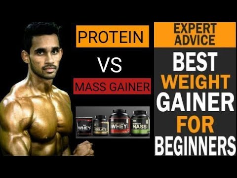 protein vs mass gainer | gainer le ya protein | which is best | us supplements