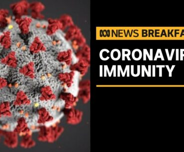 COVID-19 immunity can last at least eight months after infection, researchers discover | ABC News