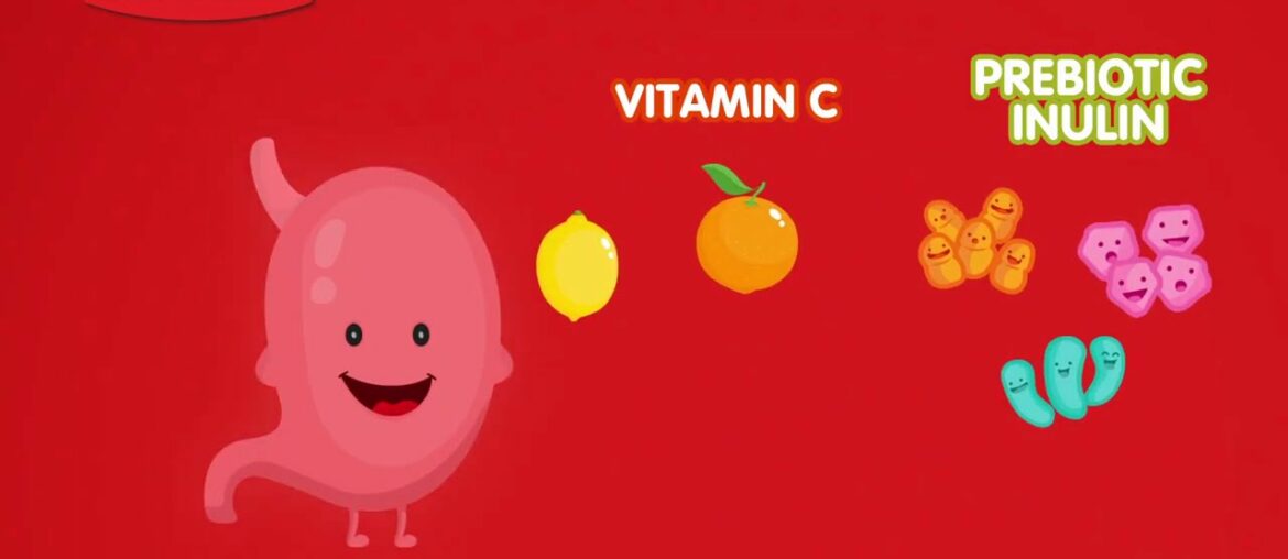 Vitaminized Lactum 3+ with Prebiotic Inulin + Vitamin C