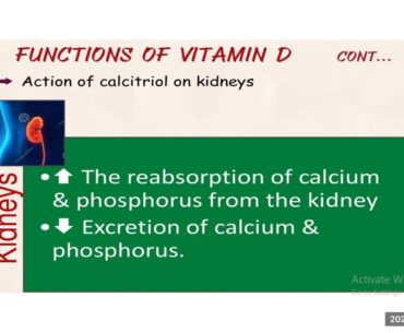 RICH IN VITAMIN 'D' IS MOST REQUIRED FOR HUMAN BODY