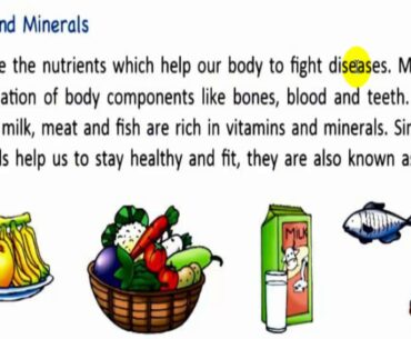 Class 4 Science, Chapter 6: Food and Nutrition (Part 1)