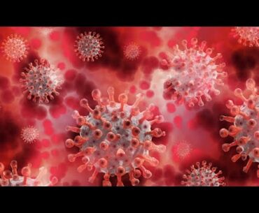 How To Fight With Coronavirus | Coronavirus