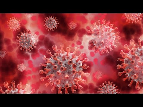 How To Fight With Coronavirus | Coronavirus