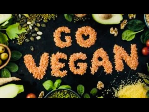 What is Vegan Diet?