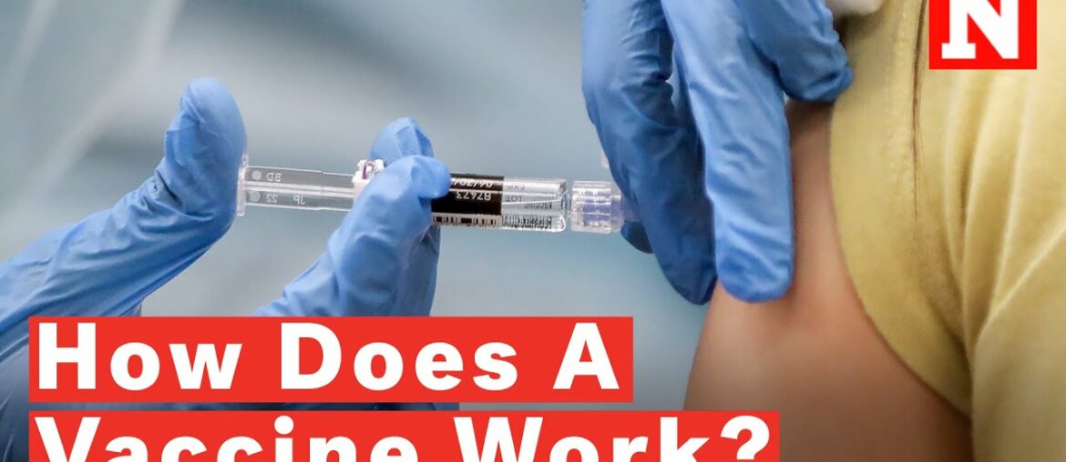 How Does A Vaccine Work? What To Know Amid COVID-19 Pandemic