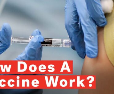 How Does A Vaccine Work? What To Know Amid COVID-19 Pandemic