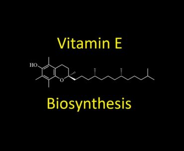 Nutrition 16 | Fat Soluble Vitamins 3 - Vitamin E