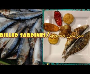 Fresh Charcoal Grilled Moroccan Sardines