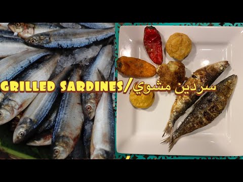 Fresh Charcoal Grilled Moroccan Sardines