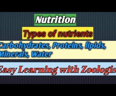 Nutrition|food components of human || carbohydrates | fats || protein || minerals || vitamins|fibers