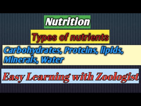 Nutrition|food components of human || carbohydrates | fats || protein || minerals || vitamins|fibers