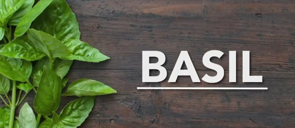 Nutrition and Health Benefits of Basil | Boost your Immune System