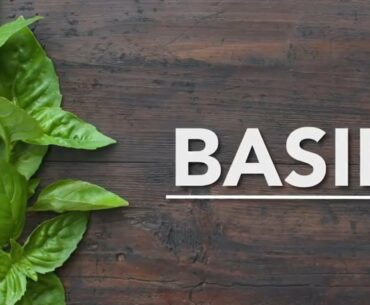 Nutrition and Health Benefits of Basil | Boost your Immune System