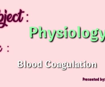 Blood Coagulation || Physiology || important vitamin for healing and their source