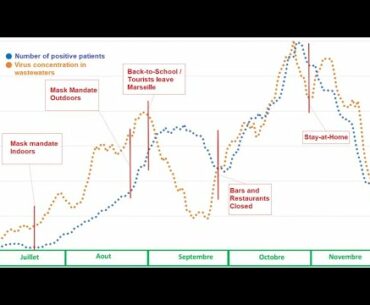 Sudden 600000 votes for Biden, 3200 for Trump. Ivermectin & Vitamin D. Help media-believers!