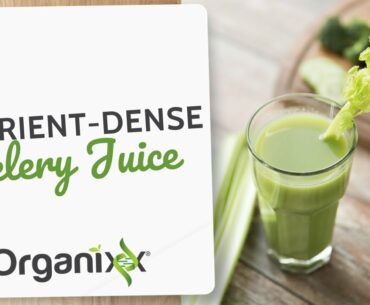 Nutrient-Dense Celery Juice | Organixx Recipe
