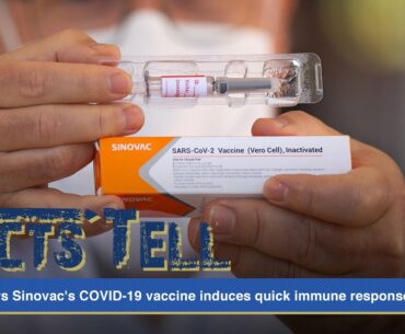Facts tell: Study shows Sinovac's COVID-19 vaccine induces quick immune response